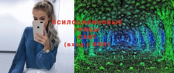 молекула духа Белокуриха